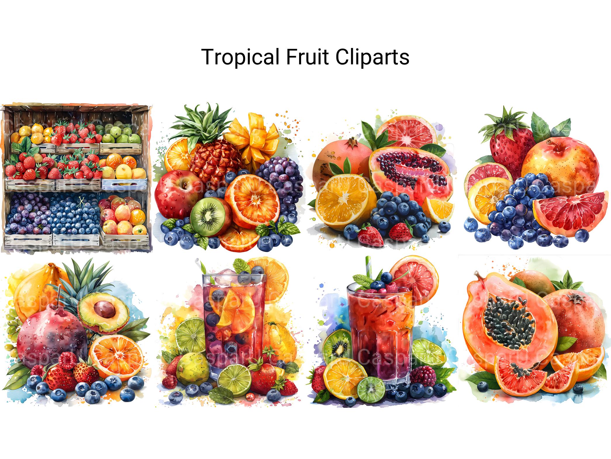 Tropical Fruit Clipart - CraftNest - Digital Crafting and Art