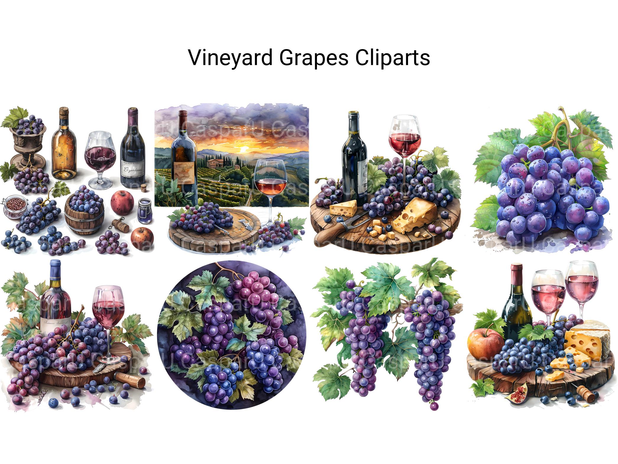 Vineyard Grapes Clipart - CraftNest - Digital Crafting and Art