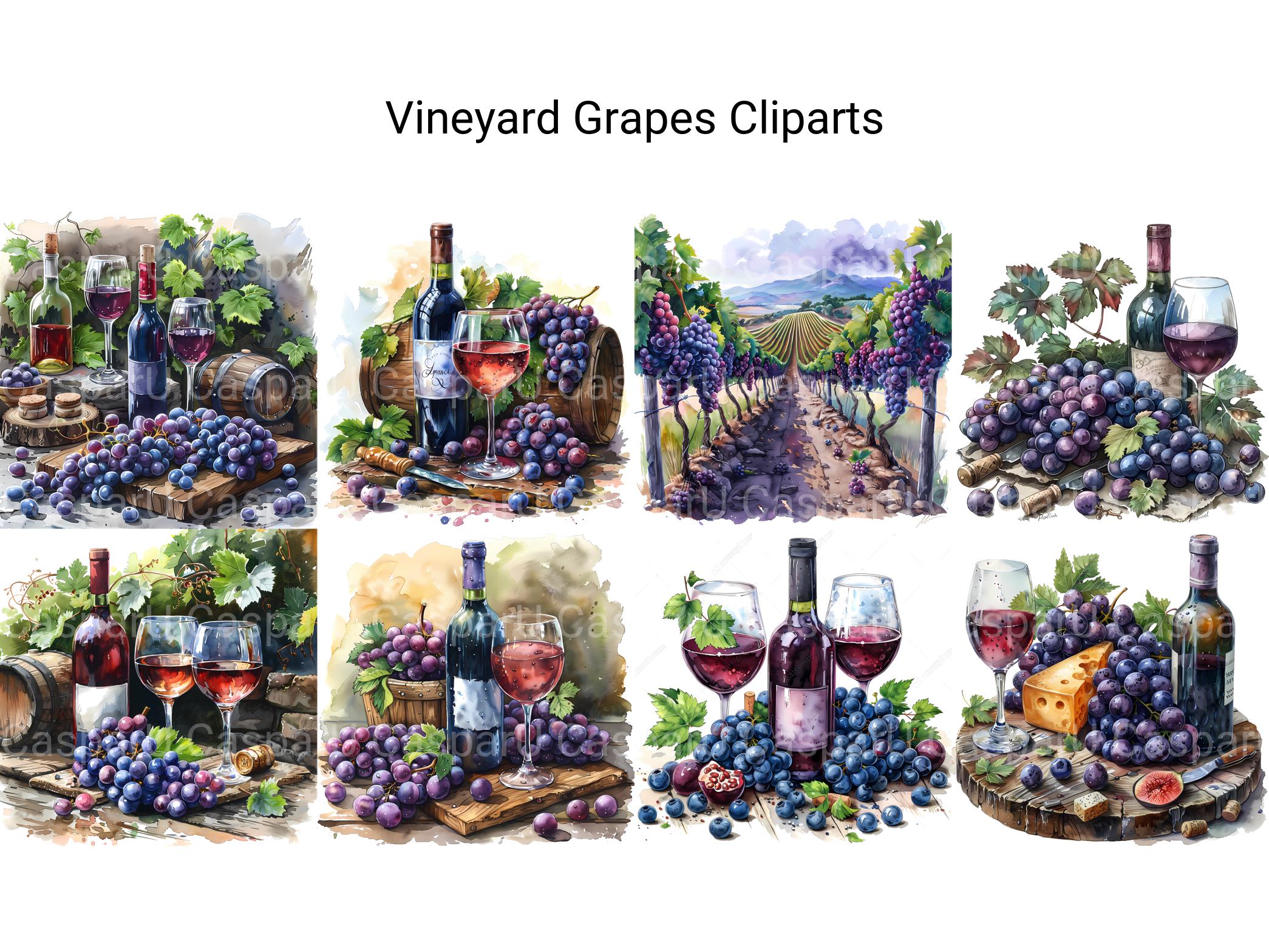 Vineyard Grapes Clipart - CraftNest - Digital Crafting and Art