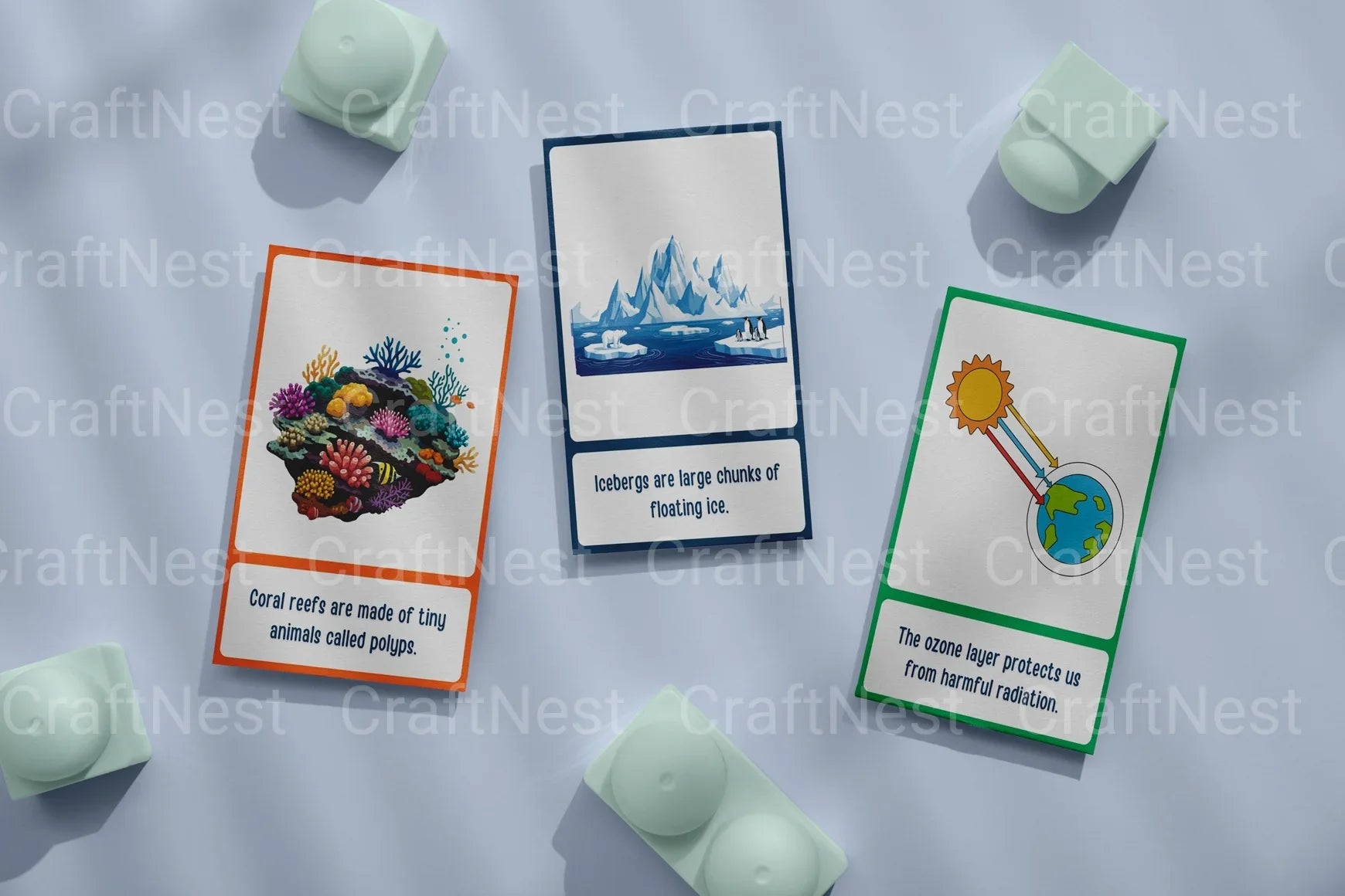 100 Fun Science Facts for Kids Flash Cards - CraftNest - Digital Crafting and Art