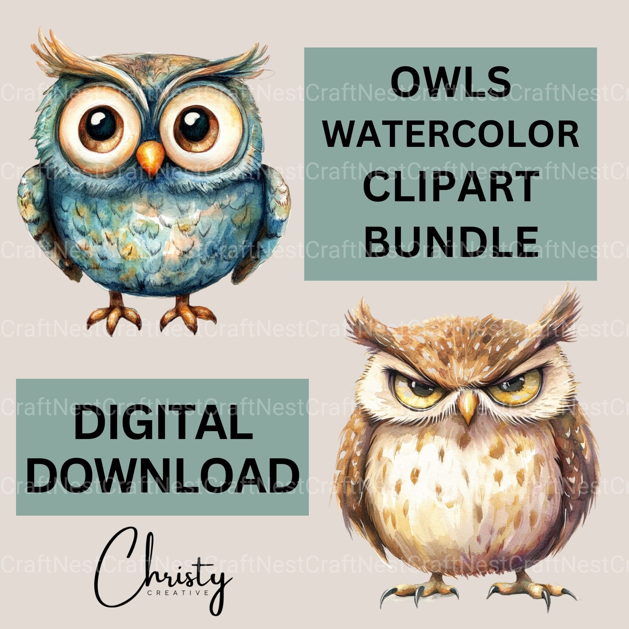 Owls Clipart Bundle - CraftNest - Digital Crafting and Art