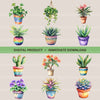 Houseplants Clipart Bundle