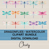 Dragonfly Clipart Bundle