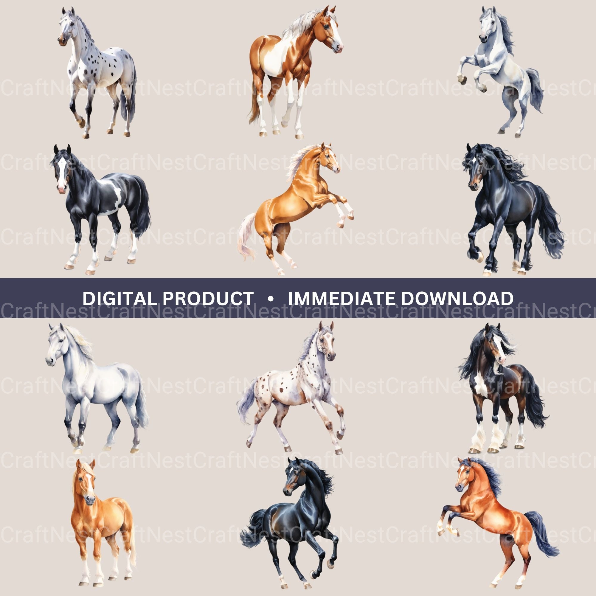 Horses Clipart Bundle 2 - CraftNest - Digital Crafting and Art