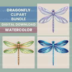 Dragonflies Clipart Bundle 2 - CraftNest - Digital Crafting and Art