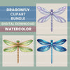 Dragonflies Clipart Bundle