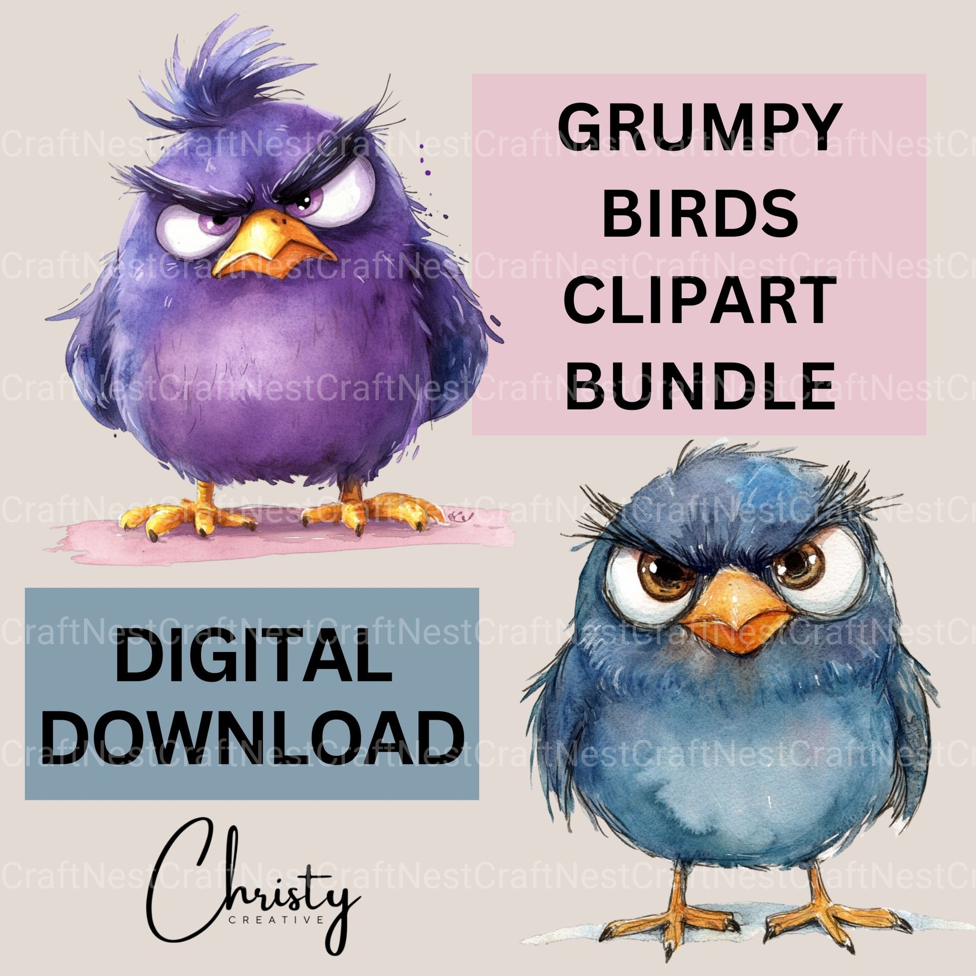 Grumpy Birds Clipart Bundle - CraftNest - Digital Crafting and Art