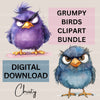 Grumpy Birds Clipart Bundle