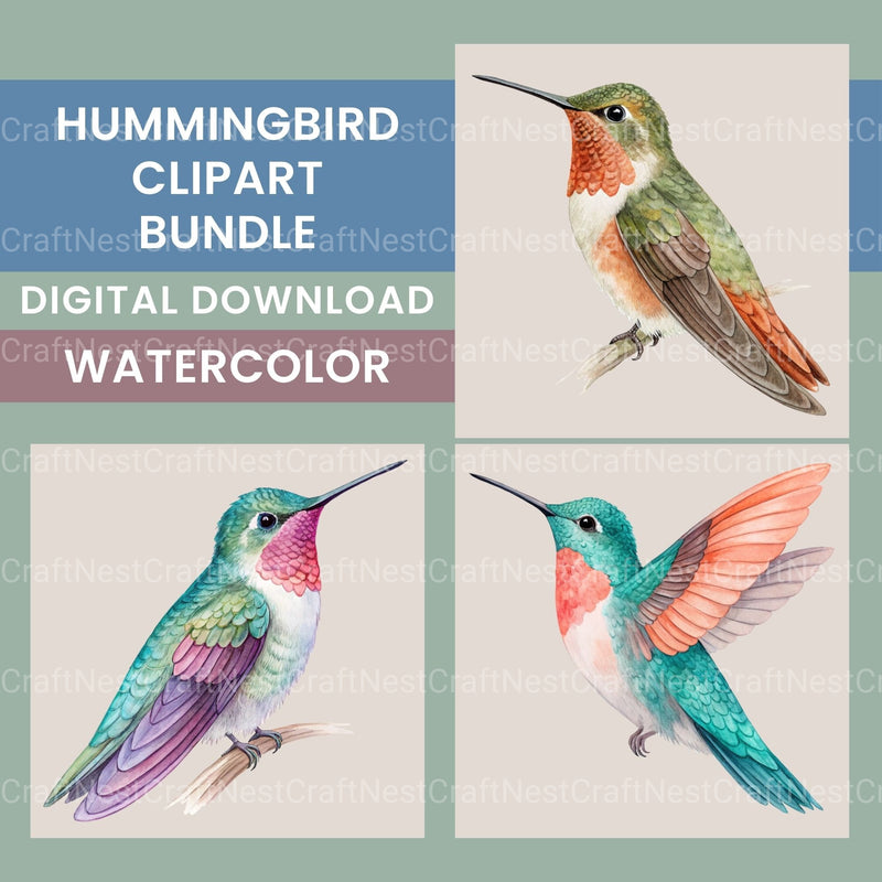 Hummingbirds Clipart Bundle - CraftNest - Digital Crafting and Art
