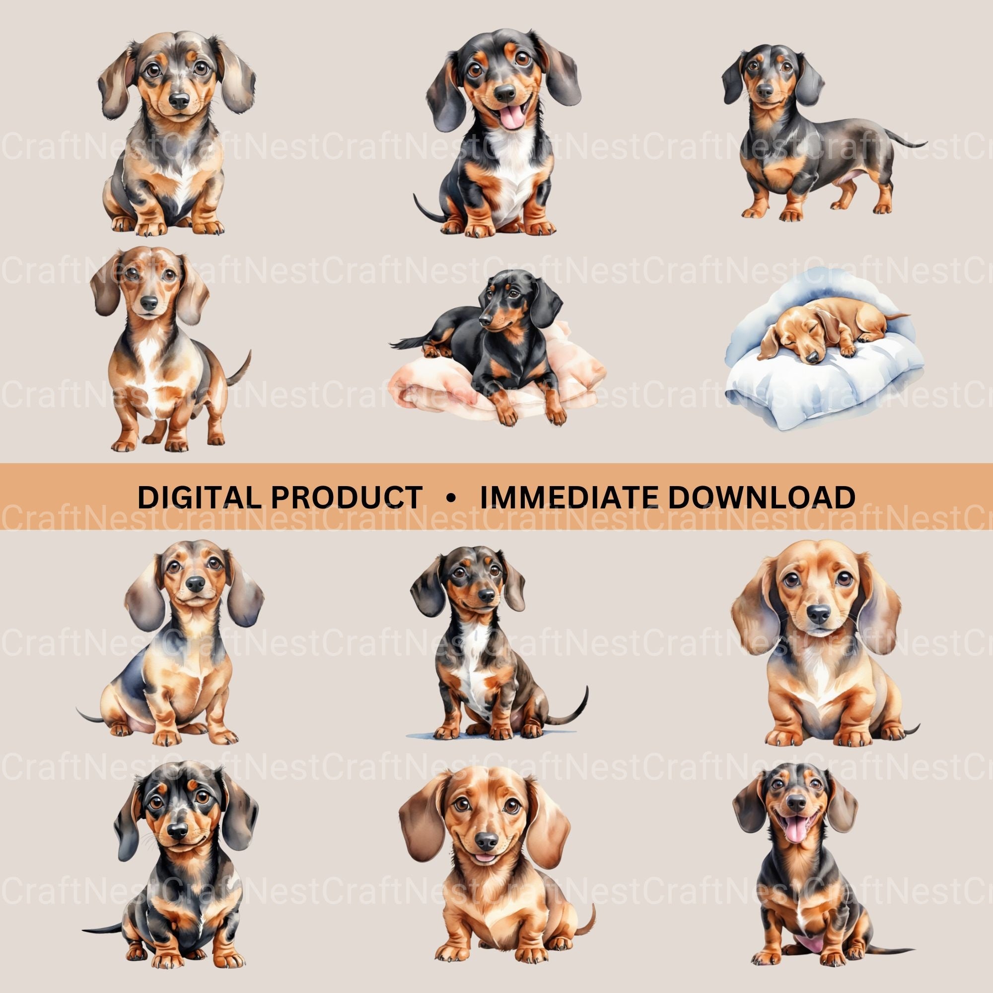 Dachshunds Updated Clipart Bundle - CraftNest - Digital Crafting and Art