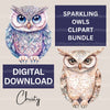 Sparkling Owls Clipart Bundle