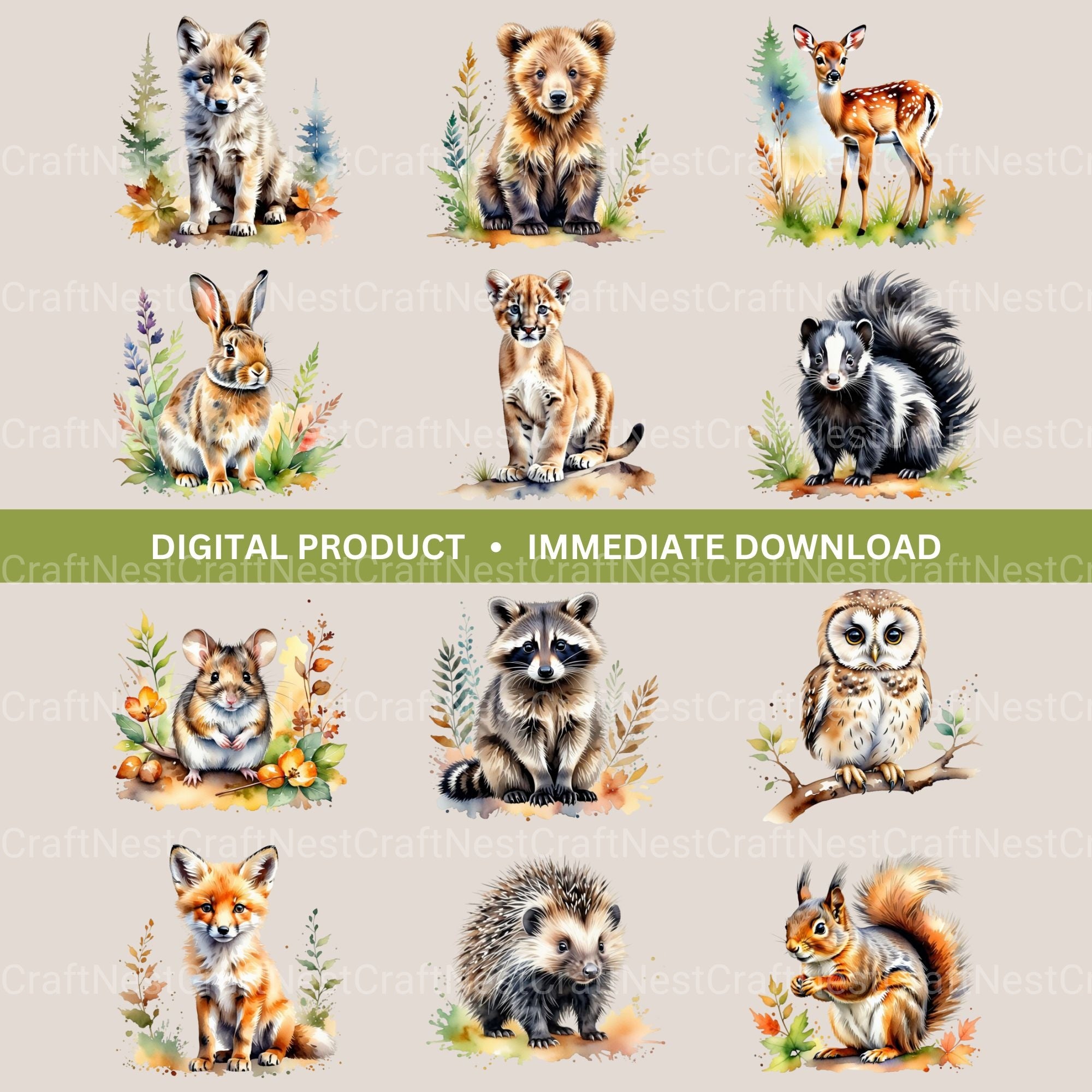 Cute Woodland Animals Clipart Bundle 2 - CraftNest - Digital Crafting and Art