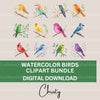 Birds Clipart Bundle 8