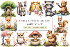 Forest Spring Woodland Animals Clipart Bundle - CraftNest - Digital Crafting and Art
