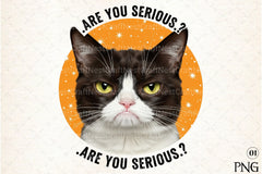 Funny Cat Quotes Clipart Bundle 3 - CraftNest - Digital Crafting and Art