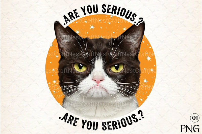 Funny Cat Quotes Clipart Bundle 3 - CraftNest - Digital Crafting and Art