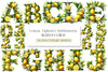 Lemon Alphabet Clipart Bundle