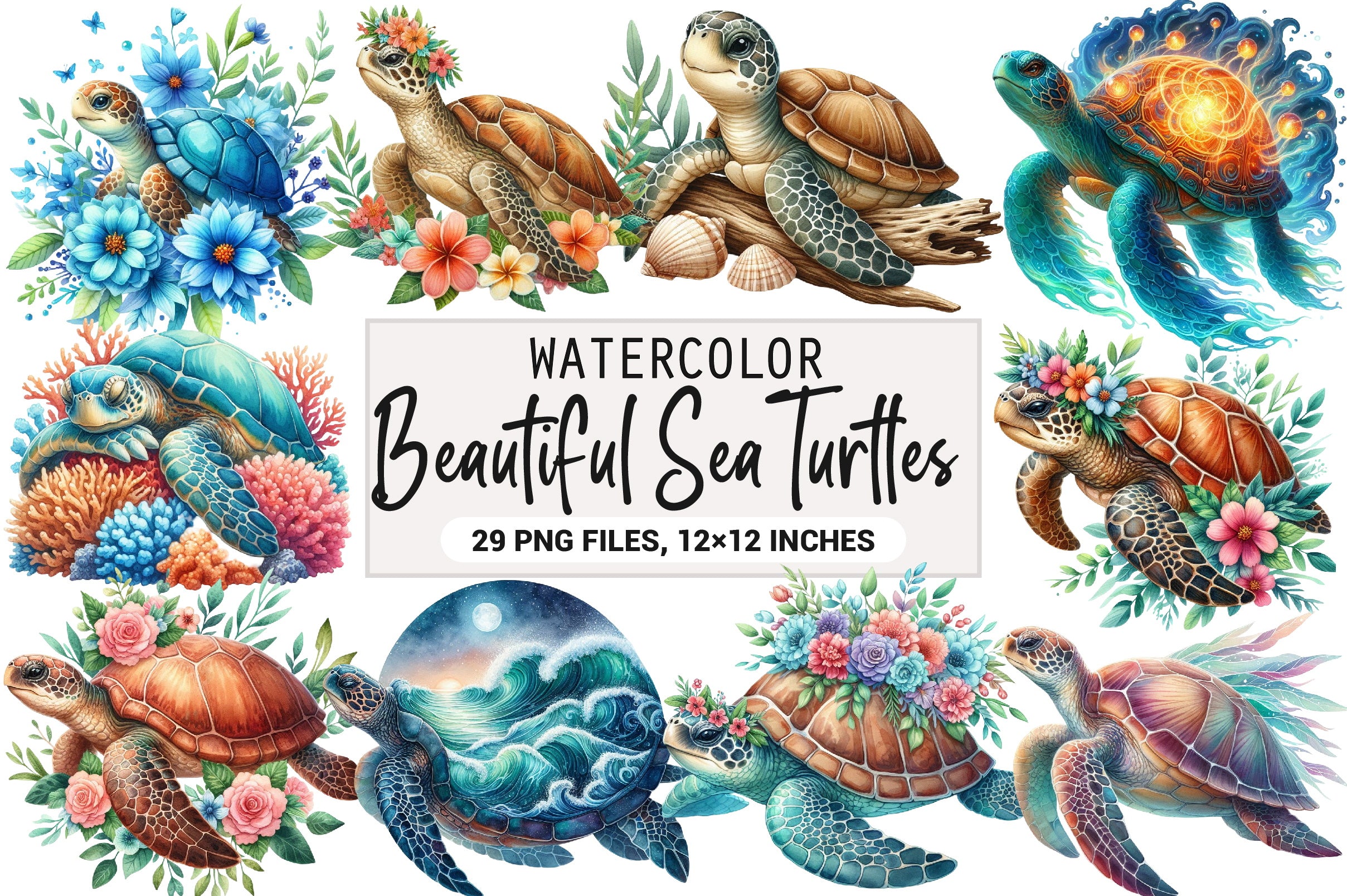 Beautiful Sea Turtles Clipart Bundle