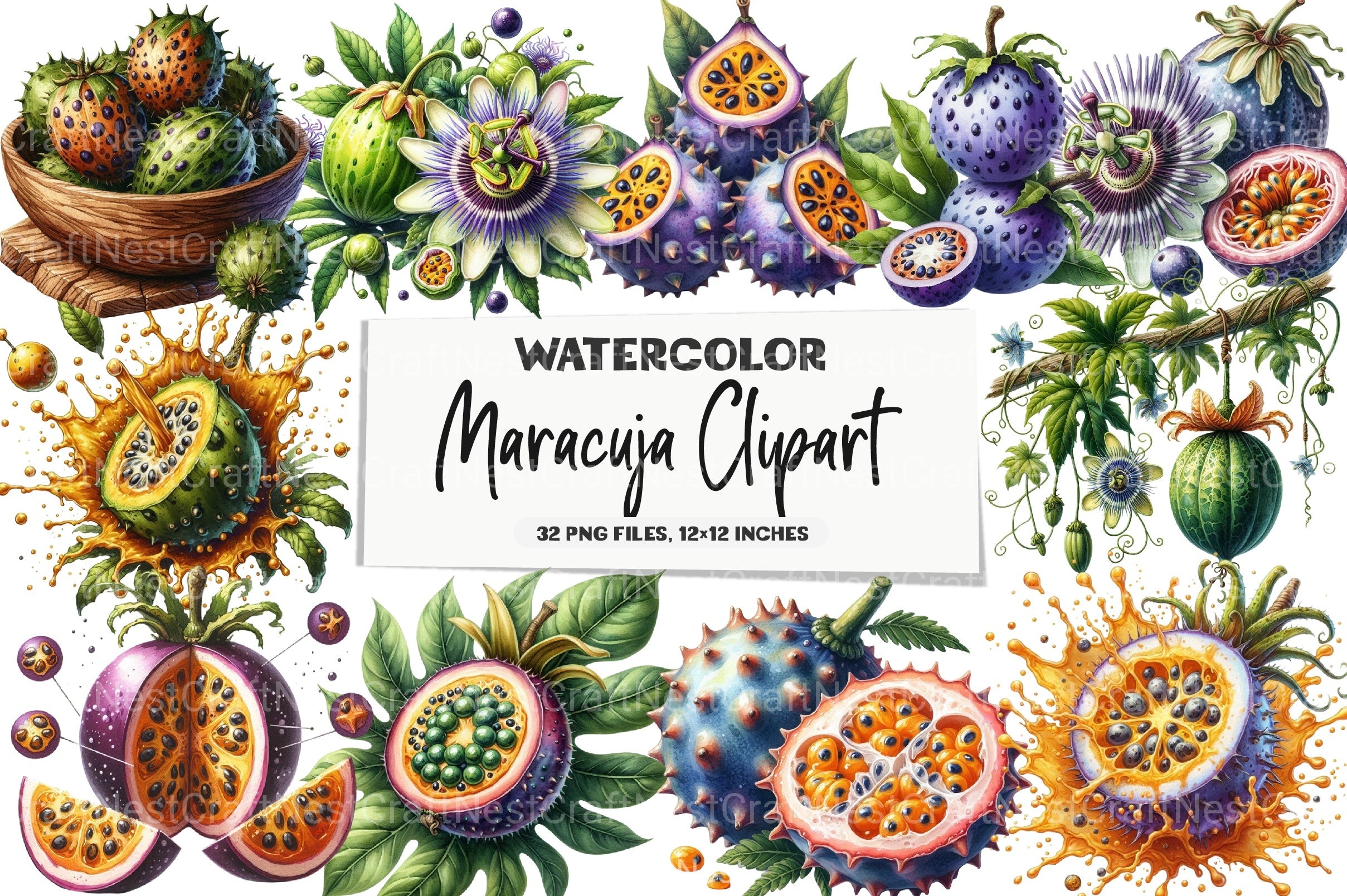 Maracuja Clipart Bundle - CraftNest - Digital Crafting and Art
