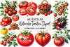 Tomatoes Clipart Bundle