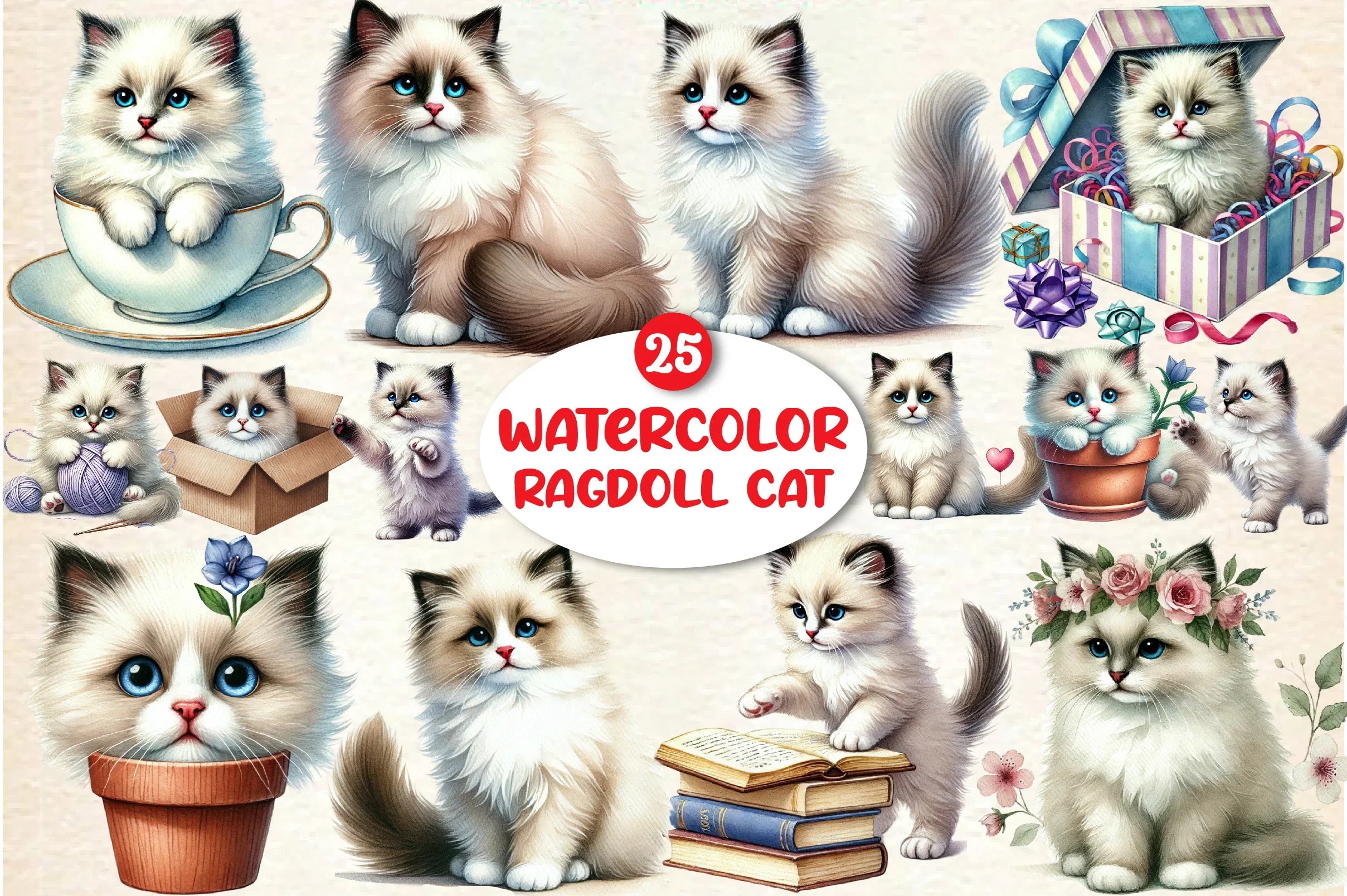 Ragdoll Cat Clipart Bundle - CraftNest - Digital Crafting and Art