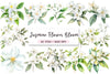 Jasmine Flower Bloom Clipart Bundle