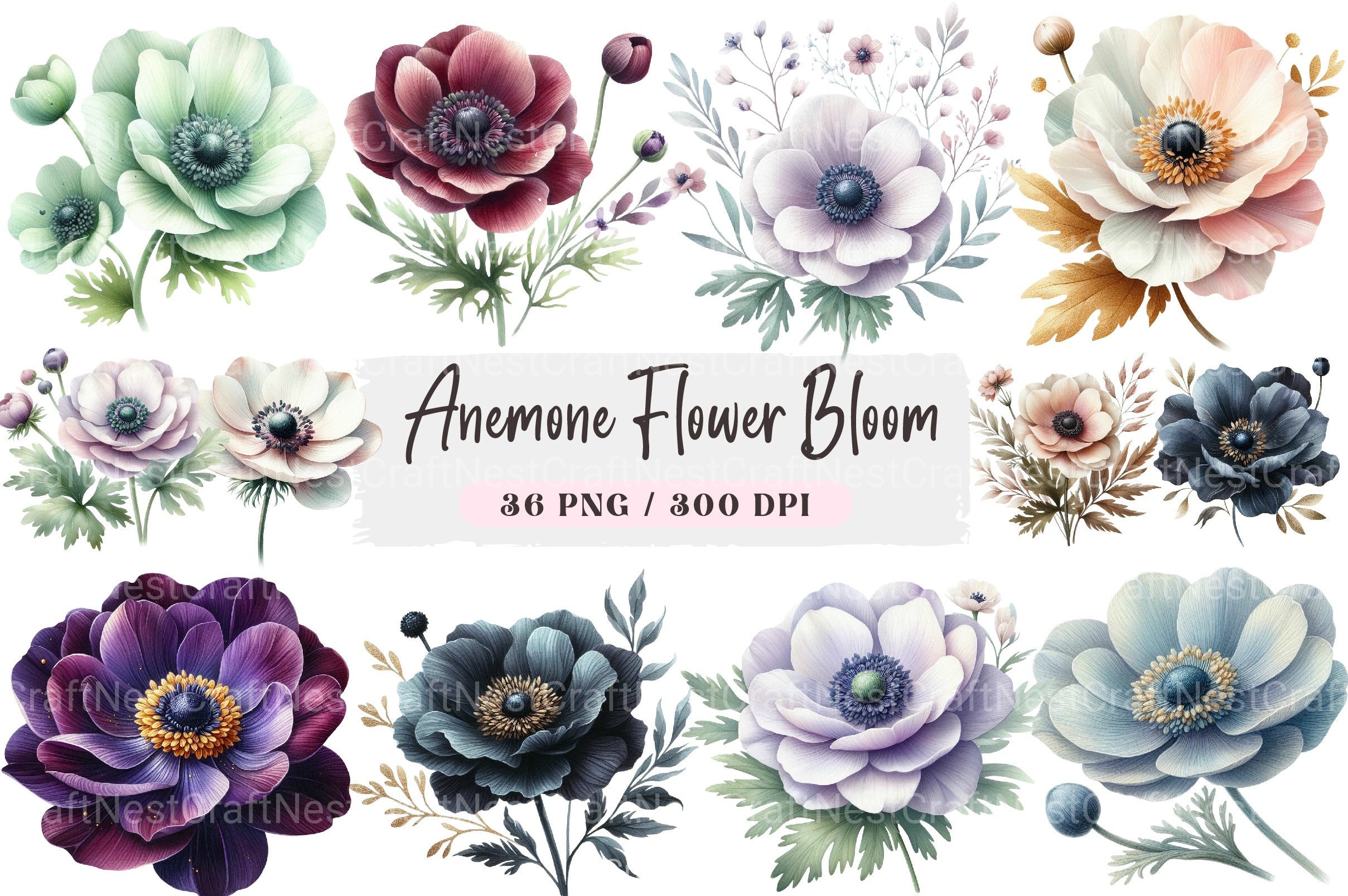 Anemone Flower Bloom Clipart Bundle 33 - CraftNest - Digital Crafting and Art