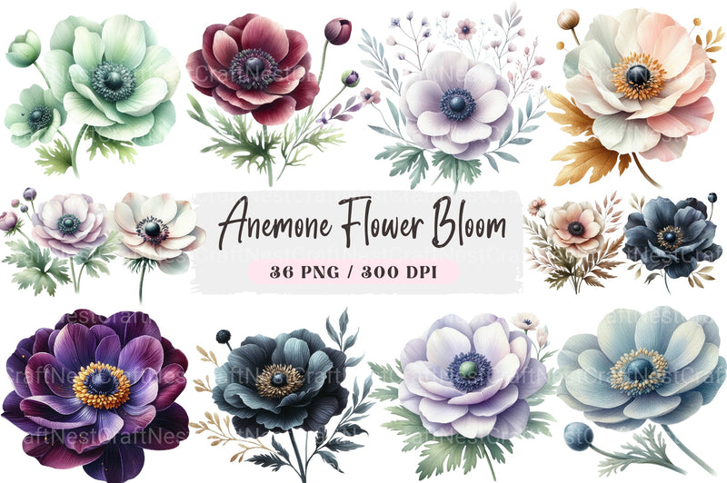 Anemone Flower Bloom Clipart Bundle 33 - CraftNest - Digital Crafting and Art