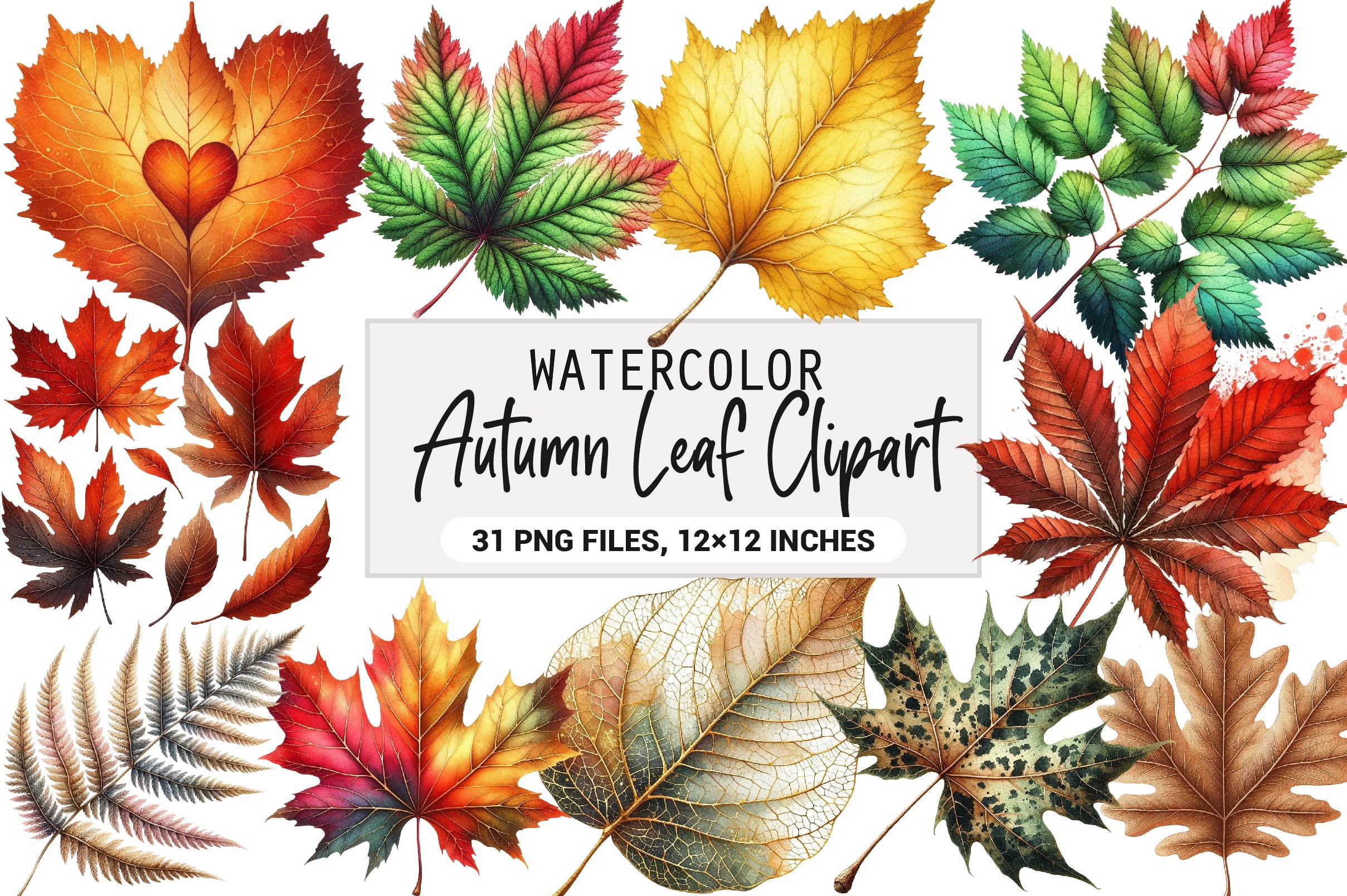 Autumn Leaf Clipart Bundle