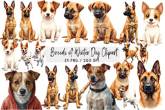 Winter Dog Breeds Clipart Bundle - CraftNest - Digital Crafting and Art