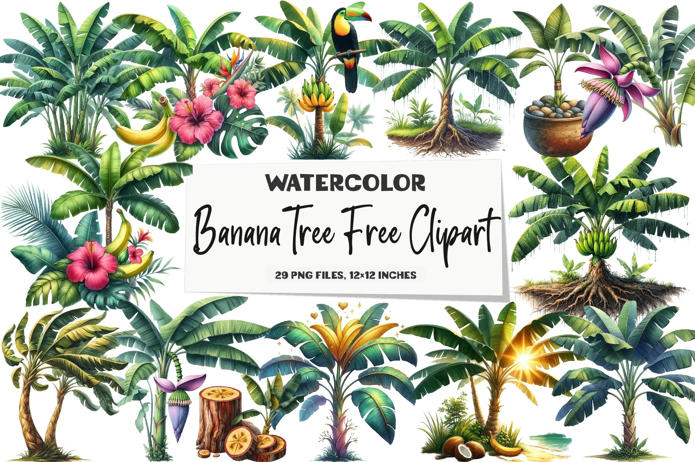 Banana Tree Free Clipart Bundle - CraftNest - Digital Crafting and Art