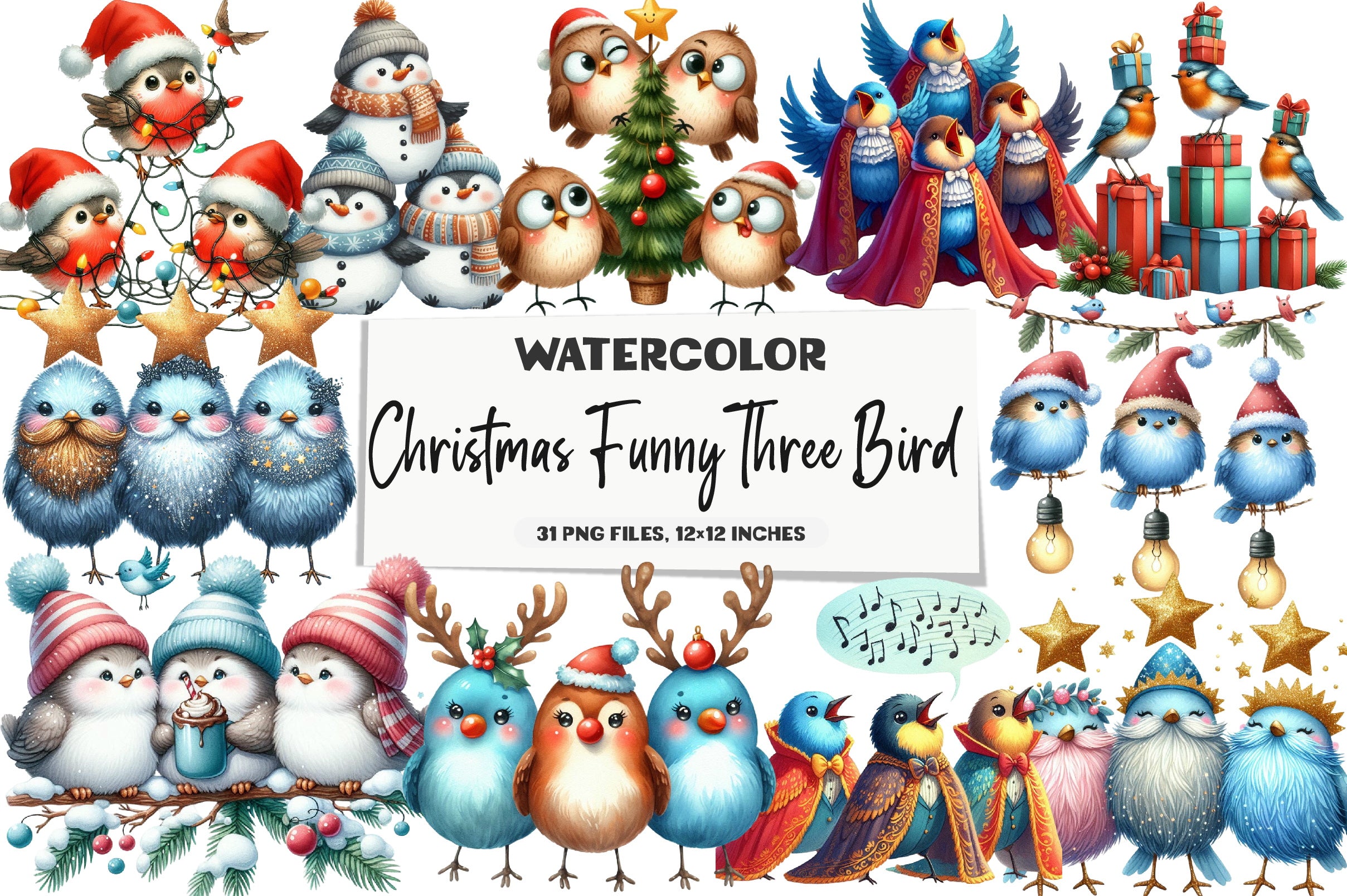 Christmas Funny Three Bird Clipart Bundle