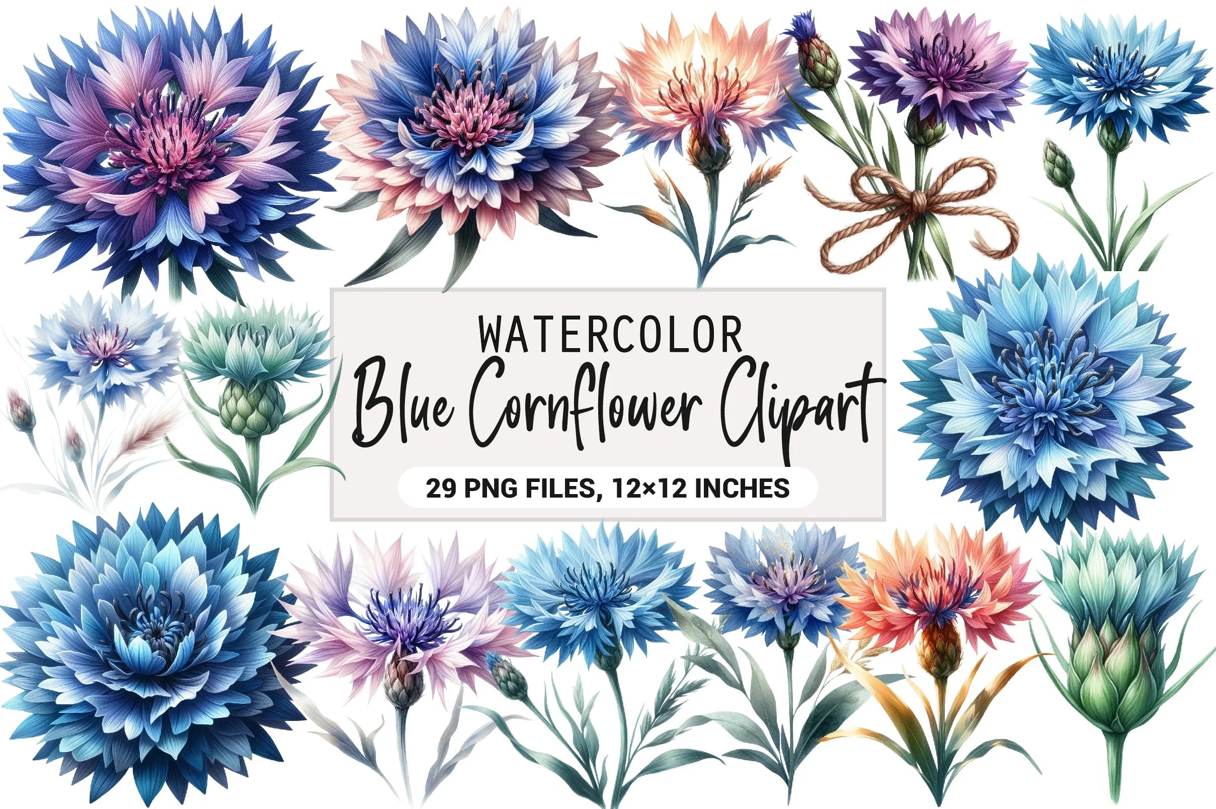 Blue Cornflower Clipart Bundle - CraftNest - Digital Crafting and Art