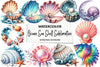 Ocean Sea Shell Clipart Bundle