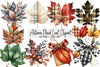 Autumn Plaid Leaf Clipart Bundle