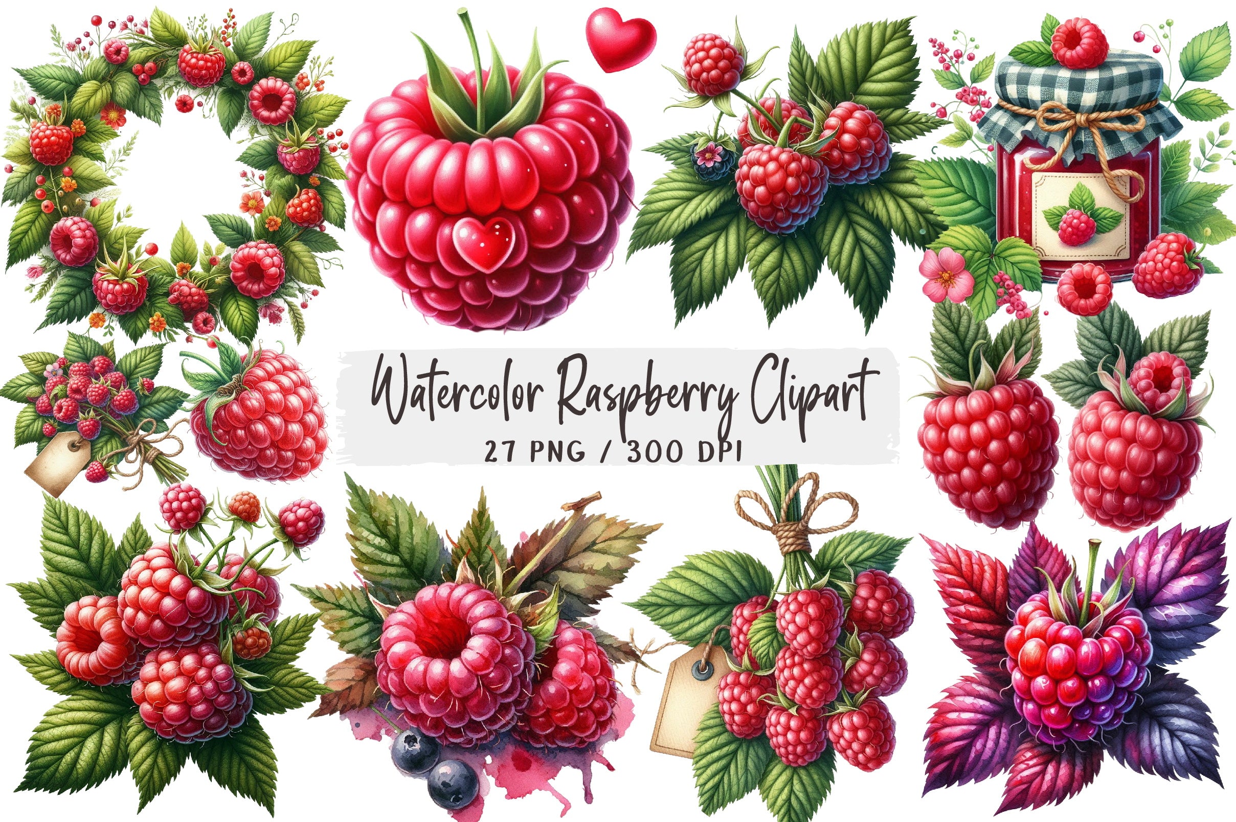 Raspberry Clipart Bundle