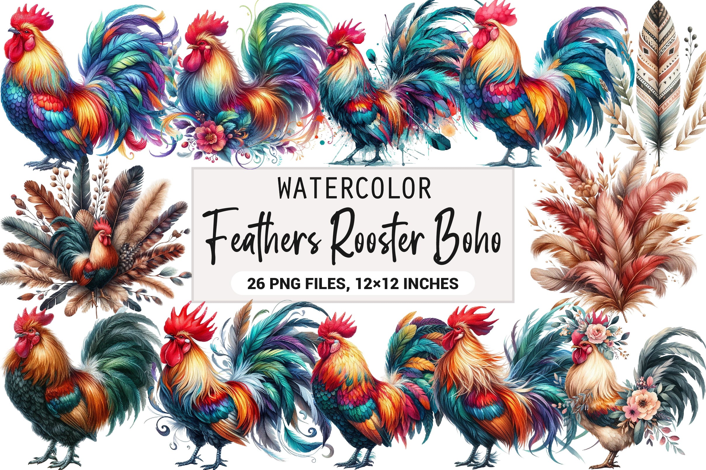 Boho Rooster Colored Feathers Clipart Bundle