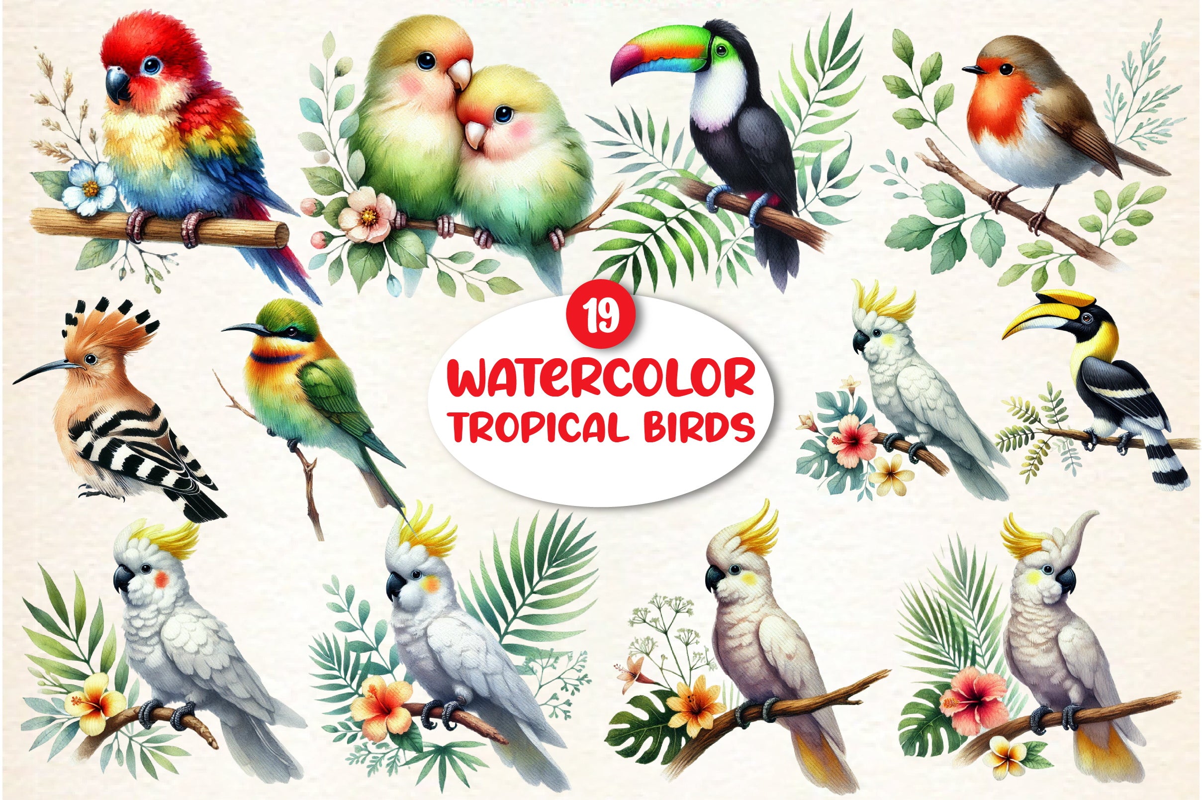 Tropical Birds Clipart Bundle