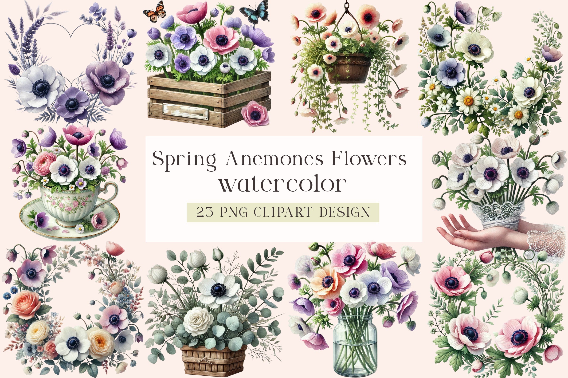 Spring Anemones Floral Clipart Bundle