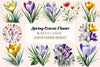 Spring Crocus Flower Clipart Bundle