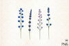 Wildflowers Brushstroke Clipart Bundle 3