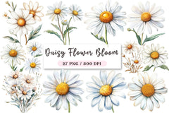 Daisy Flower Bloom Clipart Bundle - CraftNest - Digital Crafting and Art