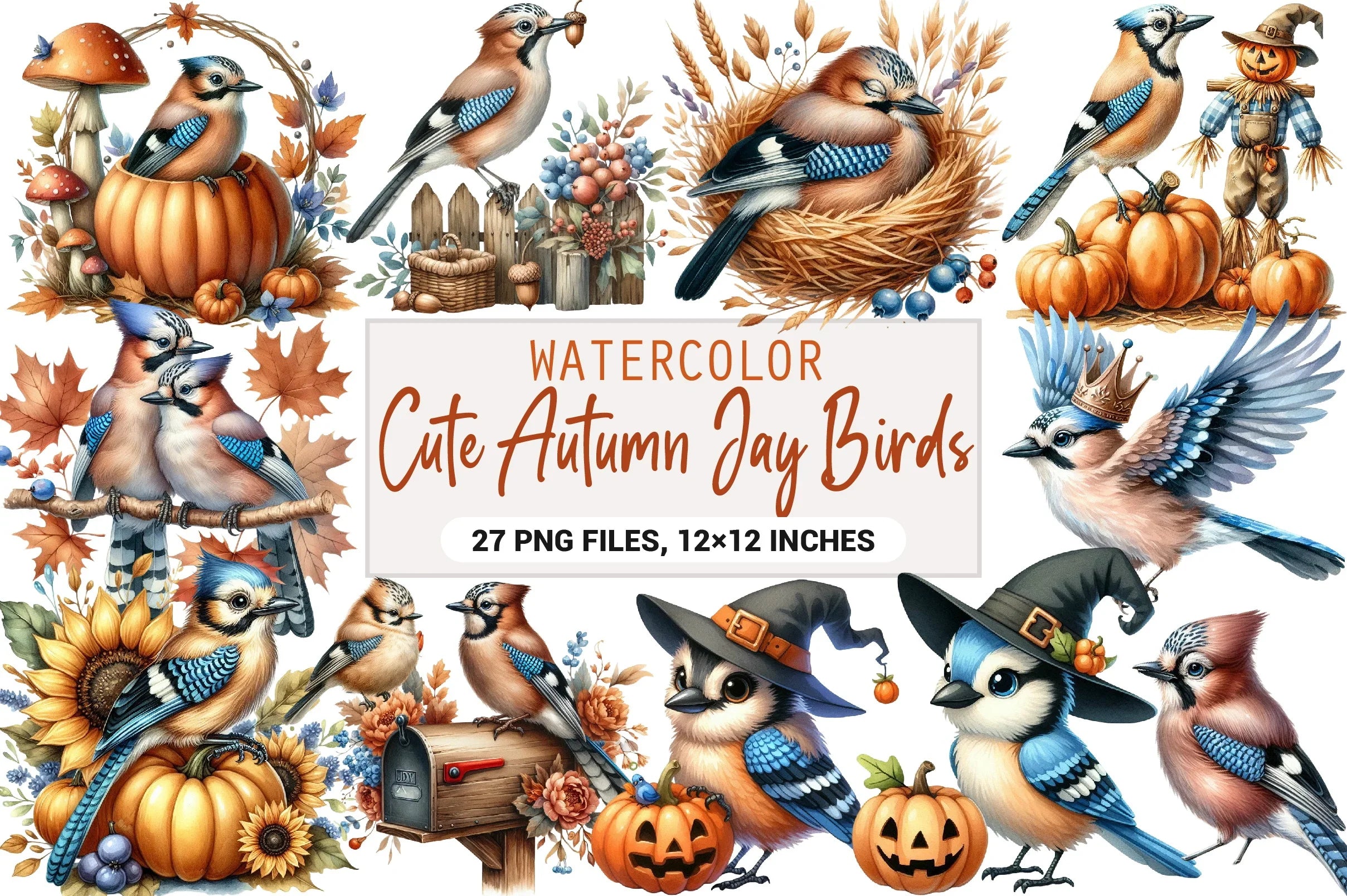 Cute Autumn Jay Birds Clipart Bundle - CraftNest - Digital Crafting and Art