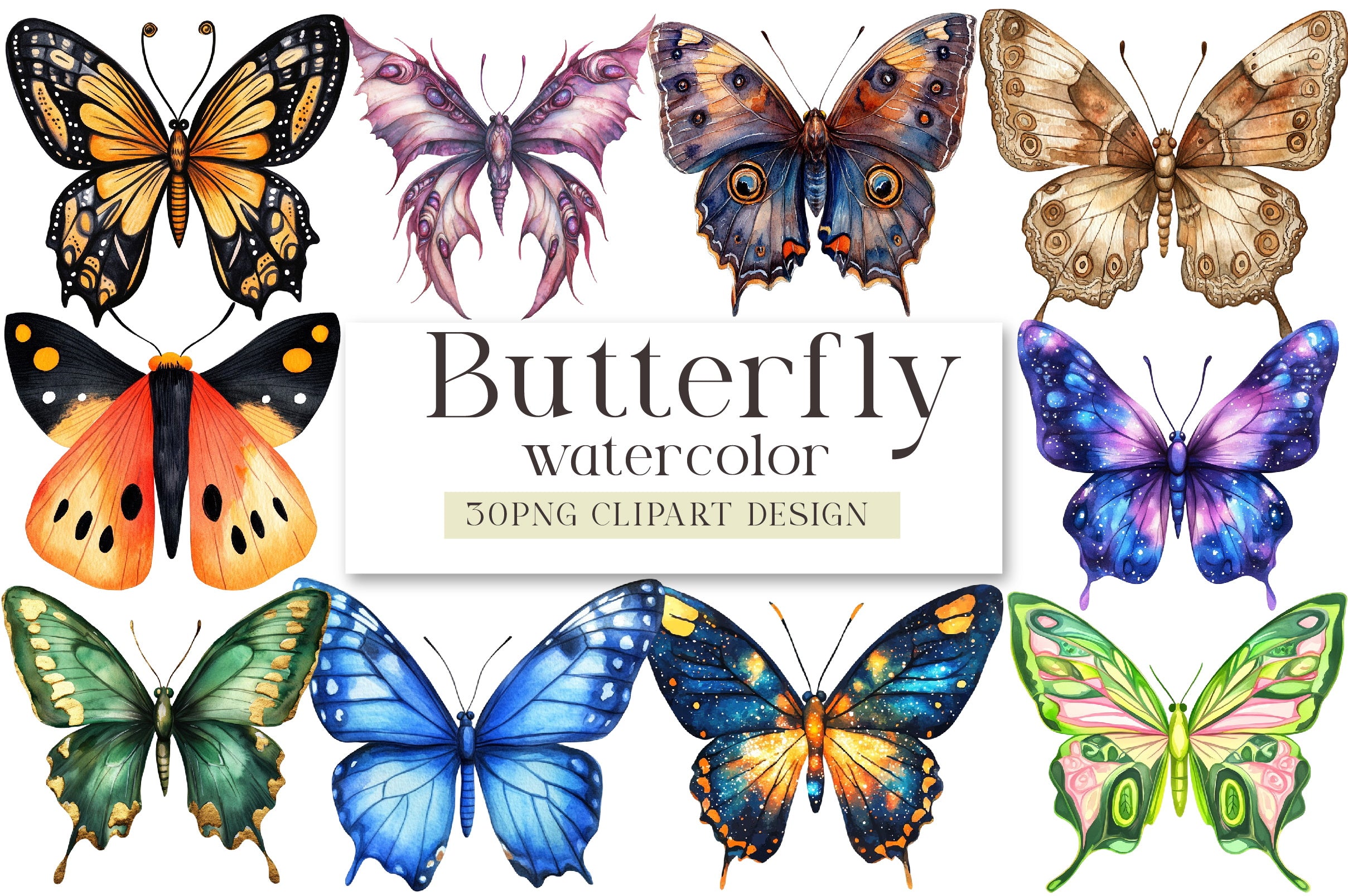 Butterfly Clipart Bundle