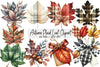 Autumn Plaid Leaf Clipart Bundle
