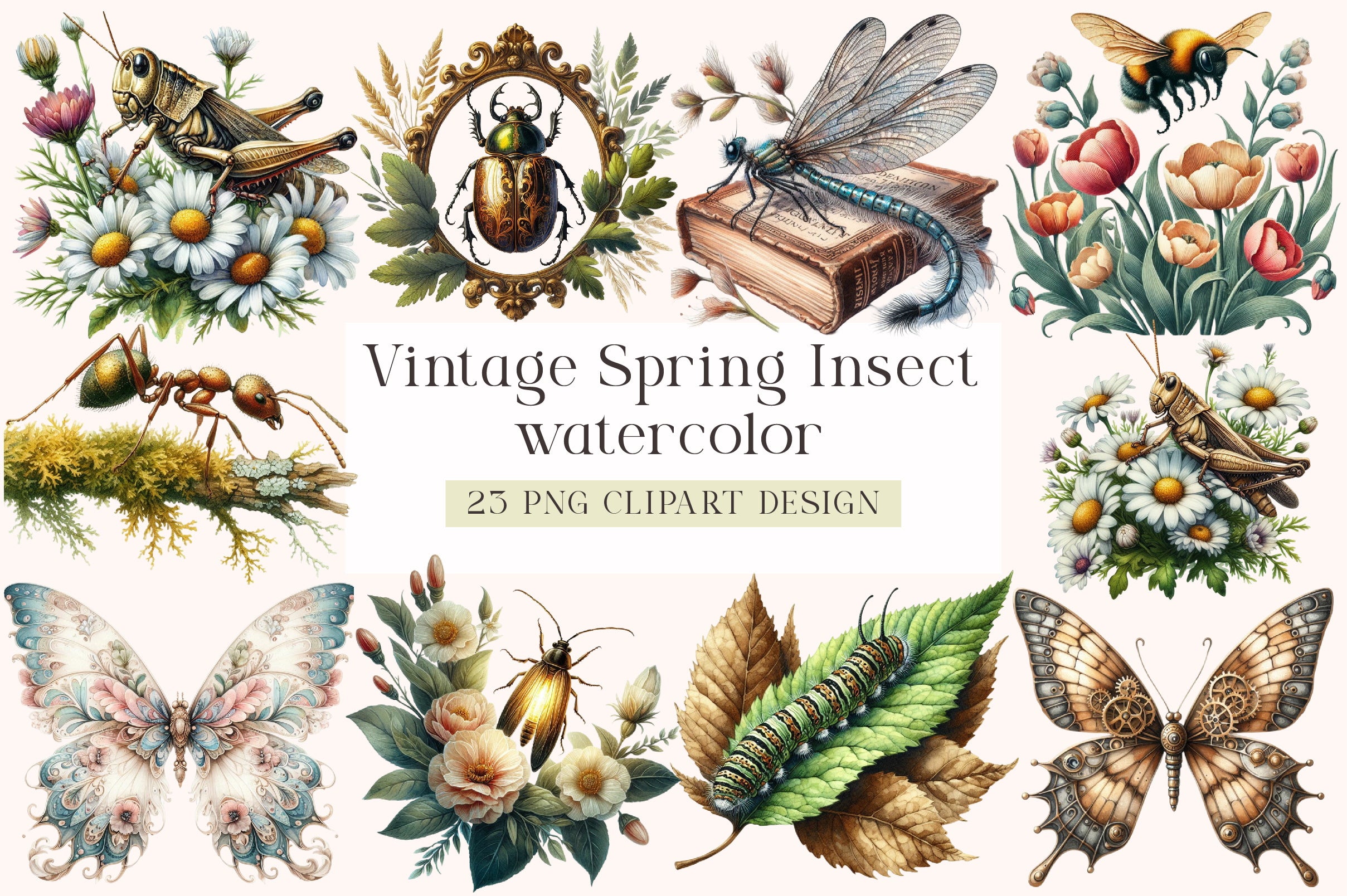 Vintage Spring Insect Clipart Bundle
