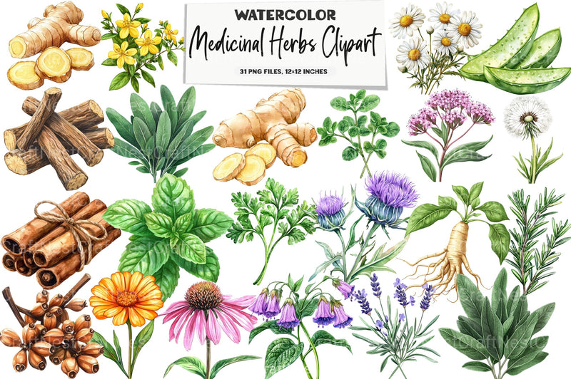 Medicinal Herbs Clipart Bundle - CraftNest - Digital Crafting and Art