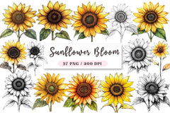 Sunflower Bloom Clipart Bundle - CraftNest - Digital Crafting and Art