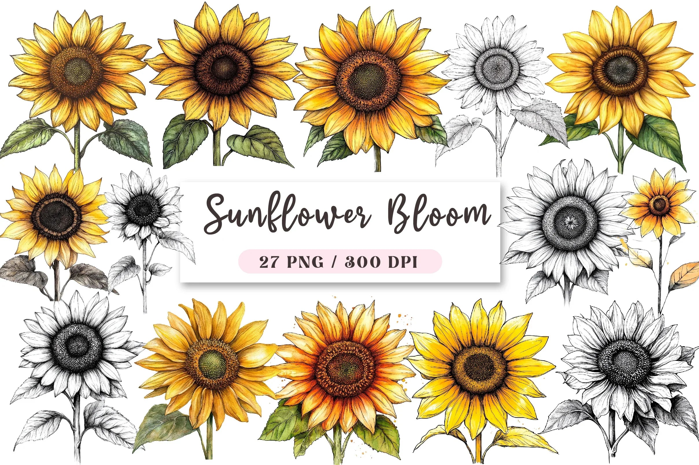 Sunflower Bloom Clipart Bundle - CraftNest - Digital Crafting and Art