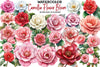 Camellia Flower Bloom Clipart Bundle 99